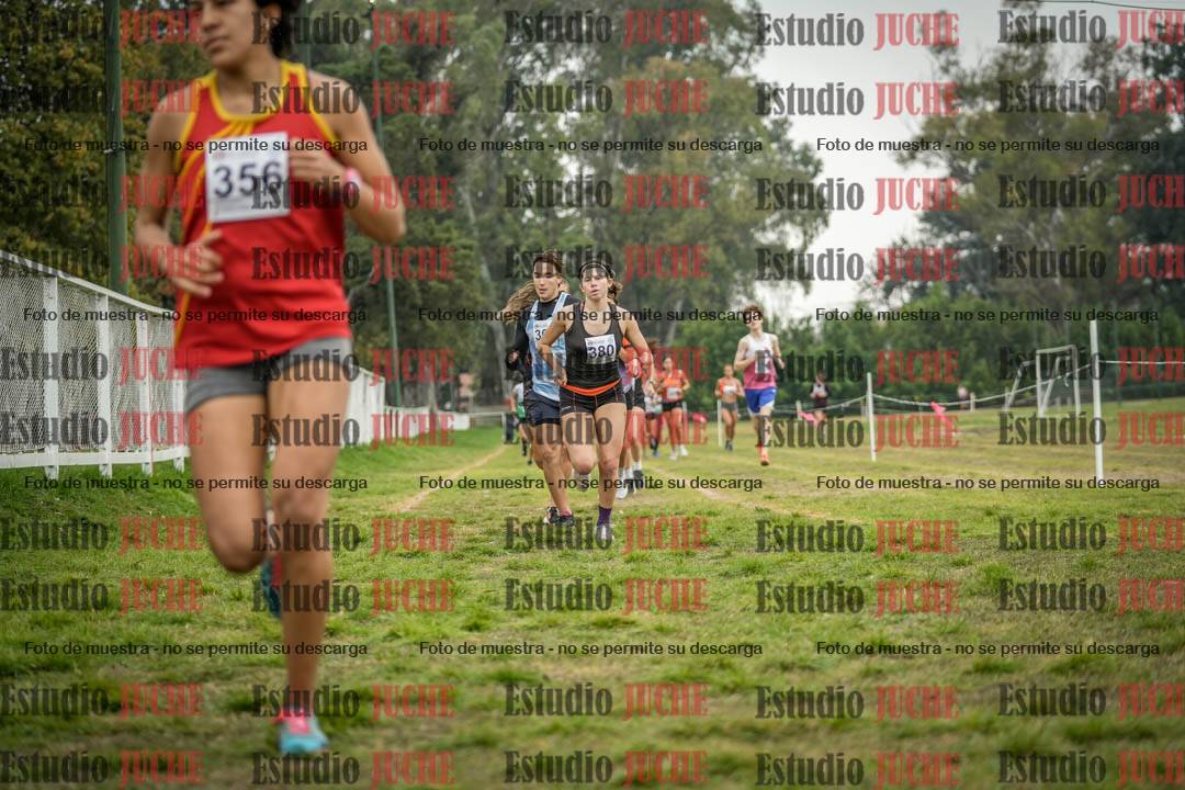 Fotos en el segundo punto del circuito
