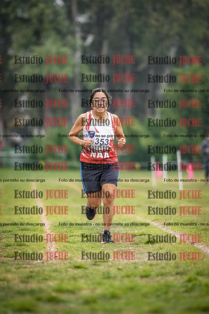 Fotos en el segundo punto del circuito