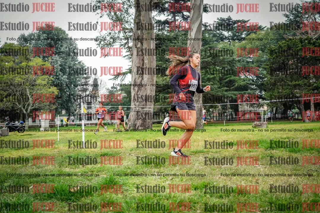 Fotos en el cuarto punto del circuito