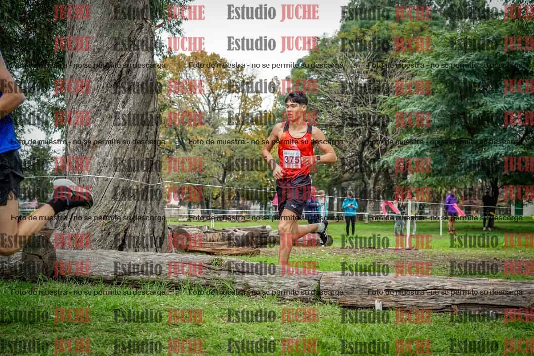 Fotos en el quinto punto del circuito