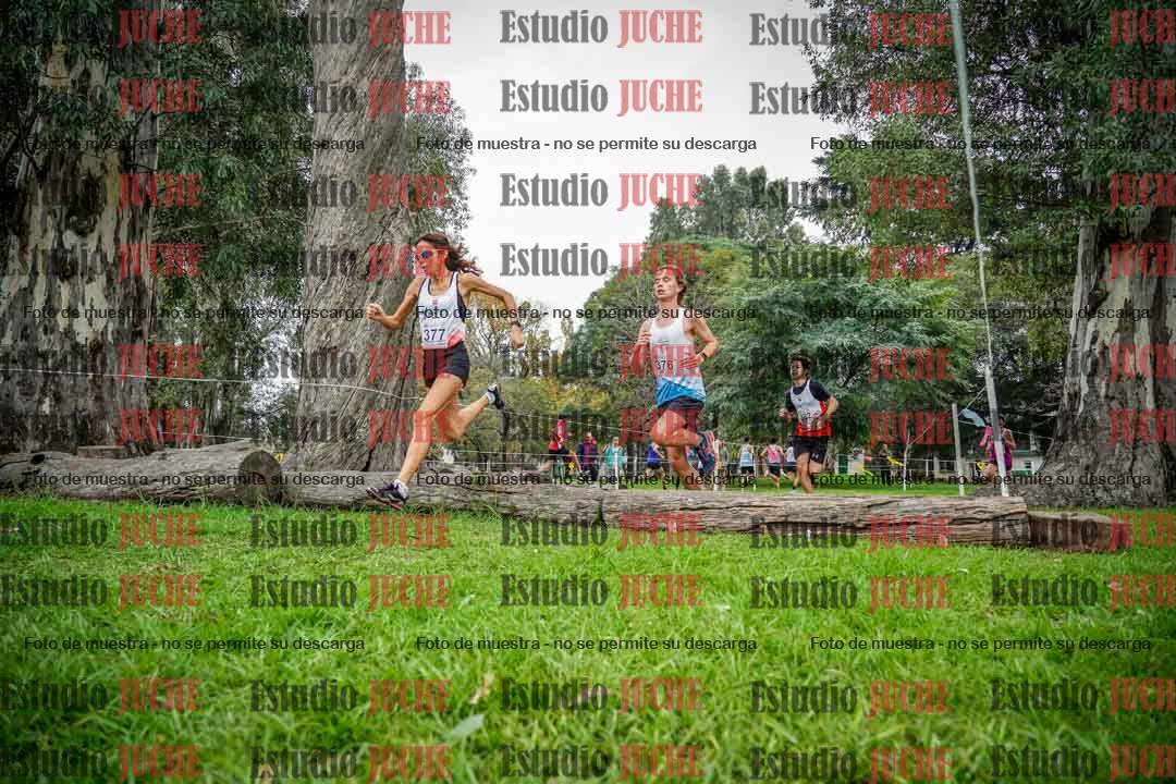 Fotos en el quinto punto del circuito