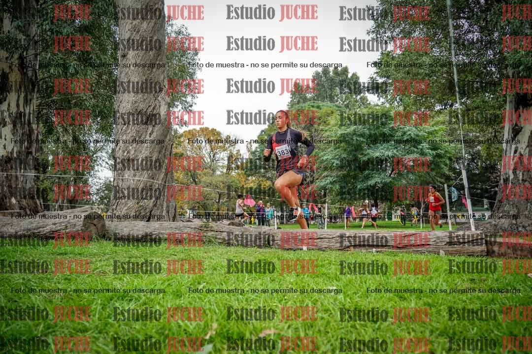 Fotos en el quinto punto del circuito