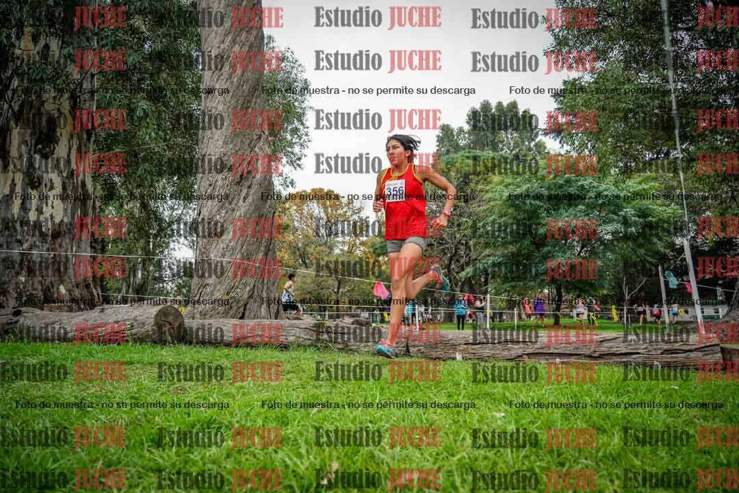 Fotos en el quinto punto del circuito