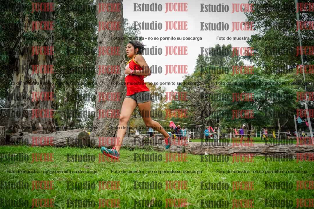 Fotos en el quinto punto del circuito