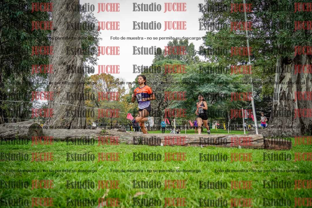 Fotos en el quinto punto del circuito