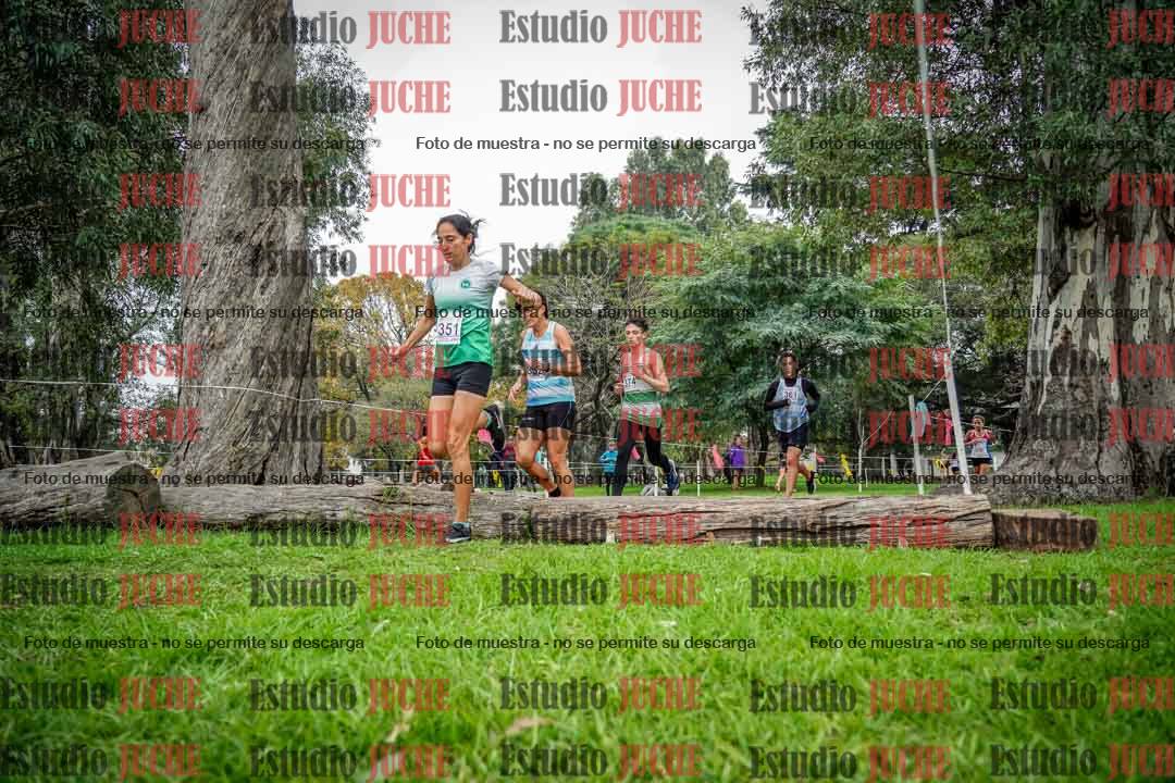 Fotos en el quinto punto del circuito