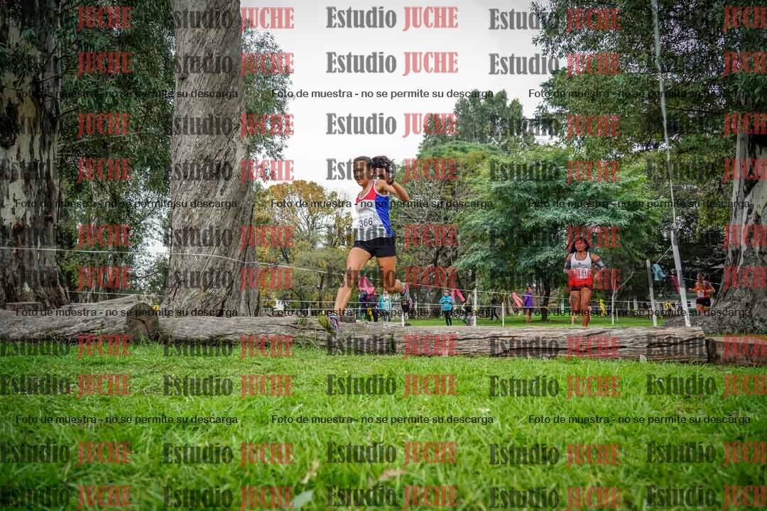 Fotos en el quinto punto del circuito