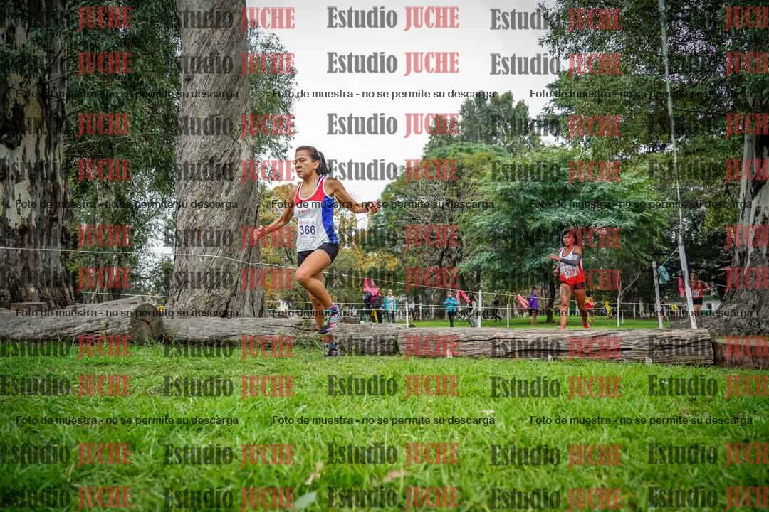 Fotos en el quinto punto del circuito