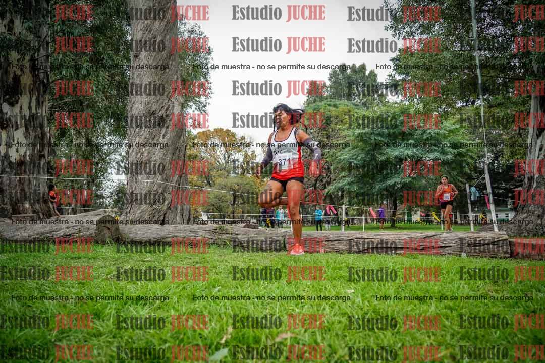Fotos en el quinto punto del circuito