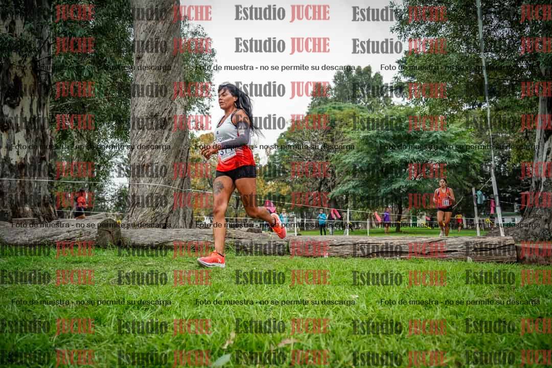 Fotos en el quinto punto del circuito