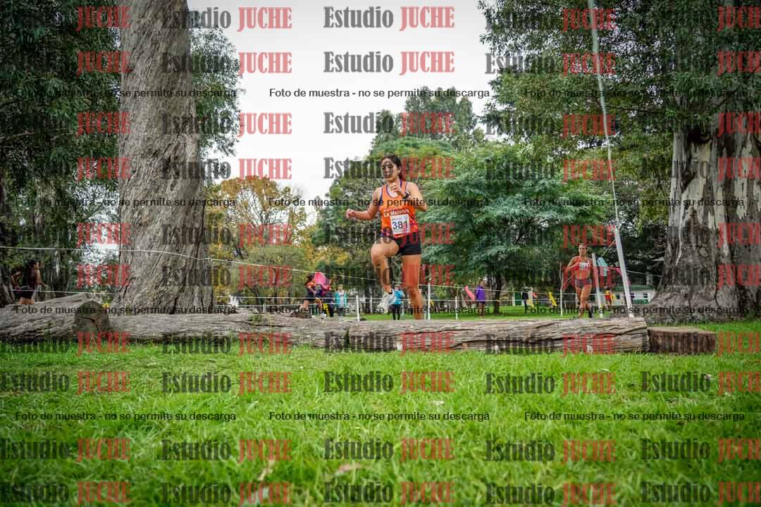 Fotos en el quinto punto del circuito