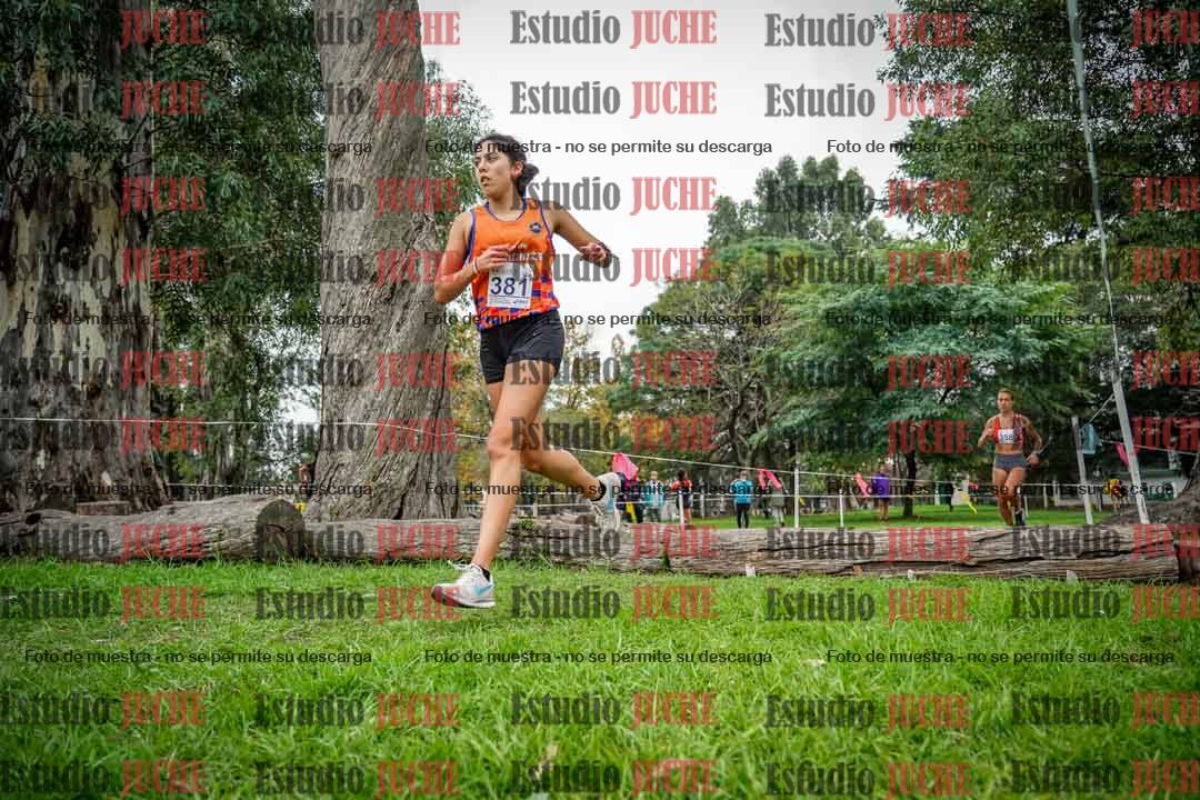 Fotos en el quinto punto del circuito