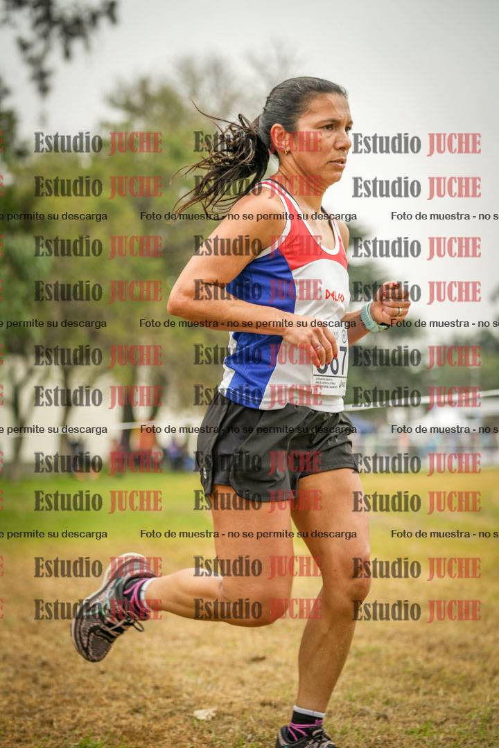 Fotos en el séptimo punto del circuito