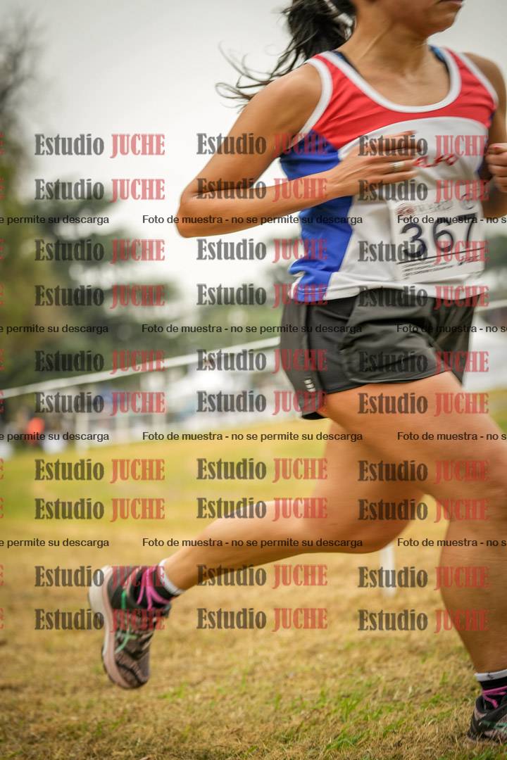 Fotos en el séptimo punto del circuito