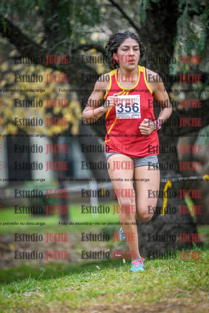 Fotos en el séptimo punto del circuito