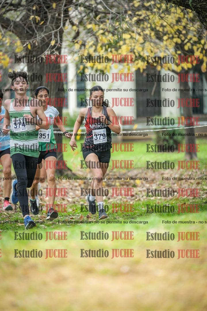 Fotos en el séptimo punto del circuito