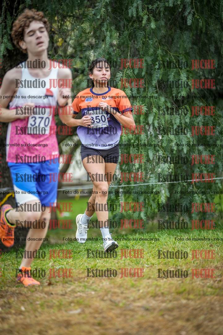 Fotos en el séptimo punto del circuito