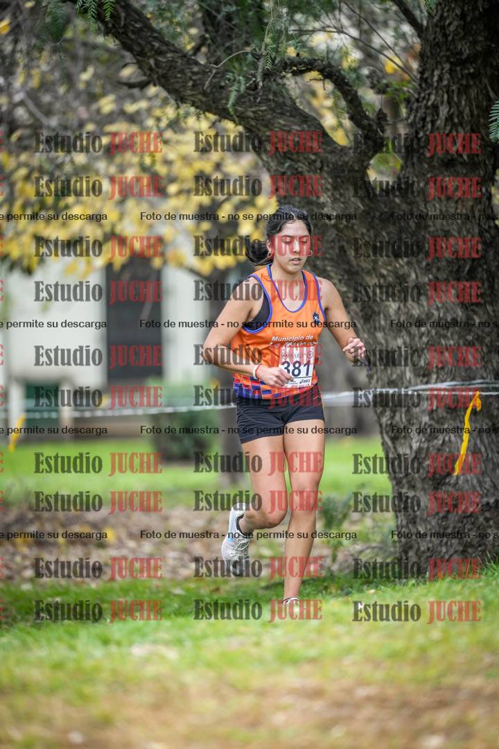 Fotos en el séptimo punto del circuito