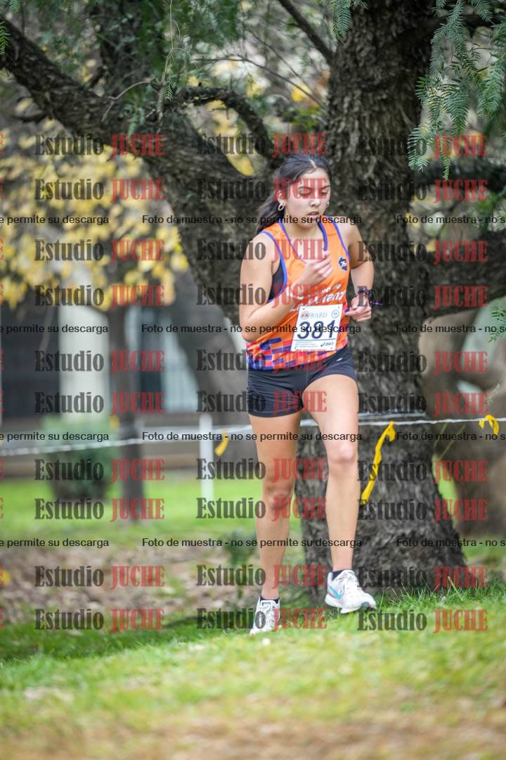 Fotos en el séptimo punto del circuito