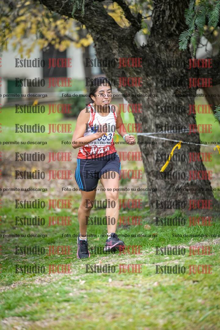 Fotos en el séptimo punto del circuito