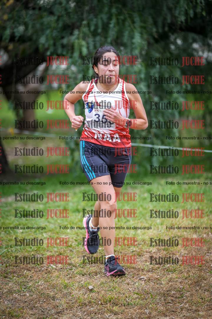 Fotos en el séptimo punto del circuito
