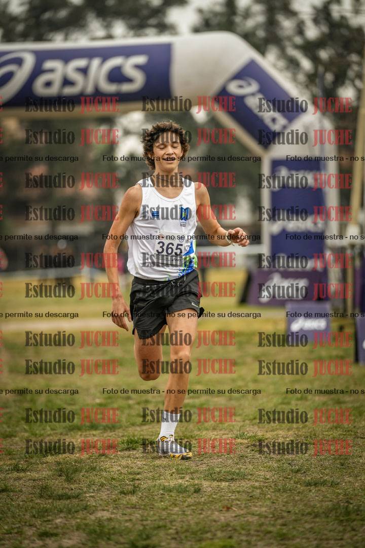 Fotos de la llegada del cross de 6000 m