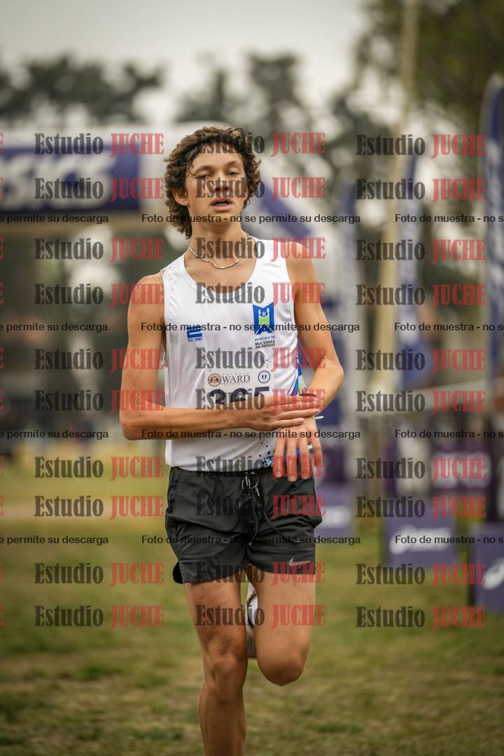 Fotos de la llegada del cross de 6000 m
