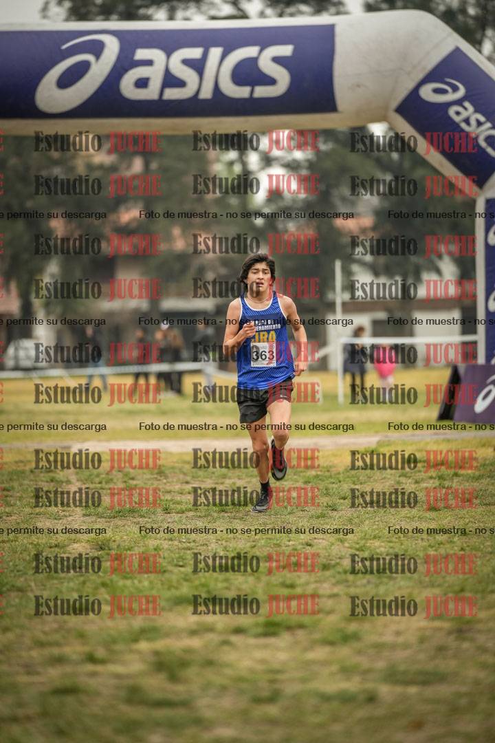 Fotos de la llegada del cross de 6000 m