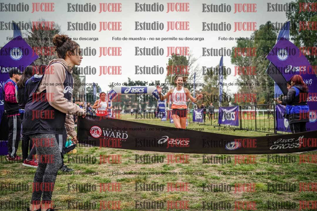 Fotos de la llegada del cross de 6000 m