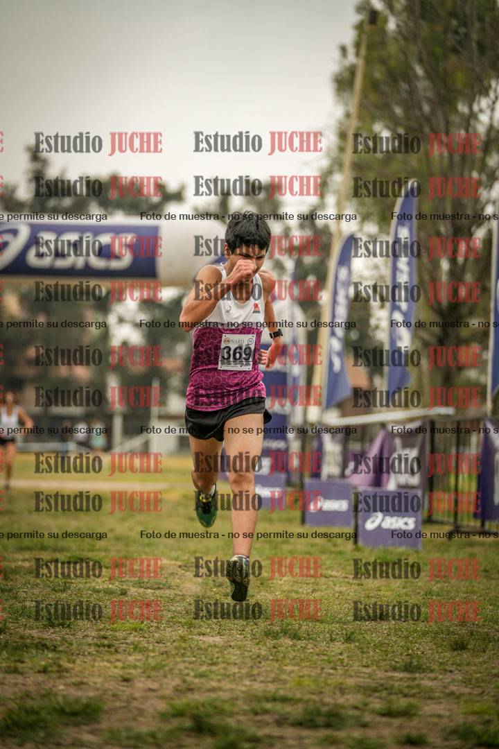 Fotos de la llegada del cross de 6000 m