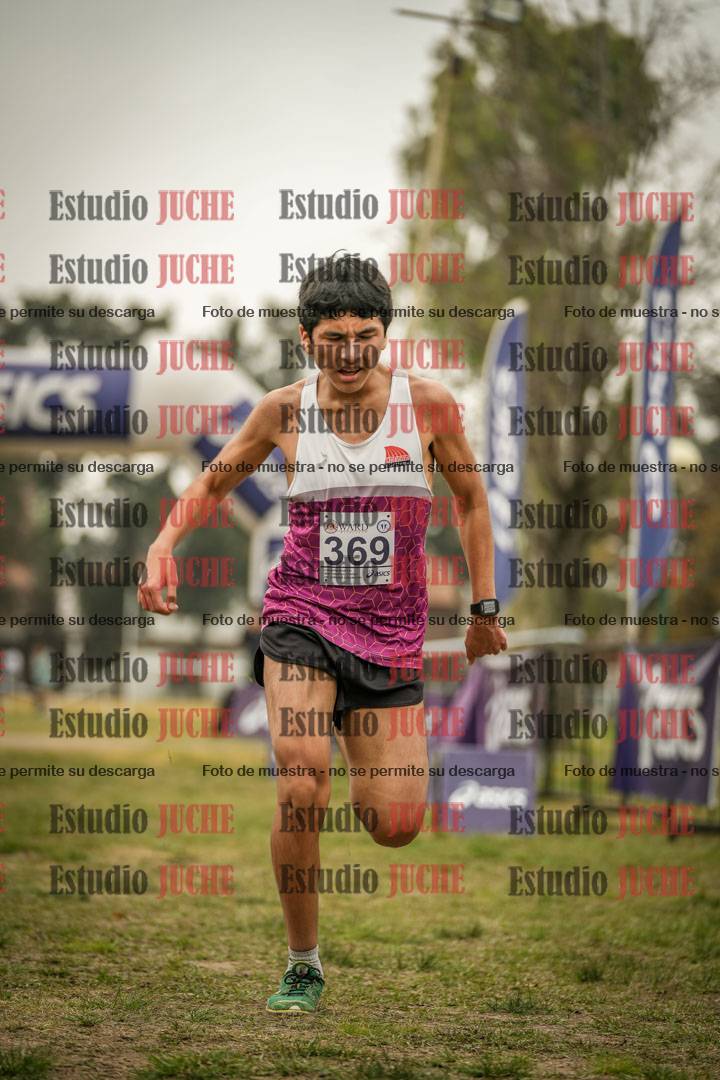 Fotos de la llegada del cross de 6000 m