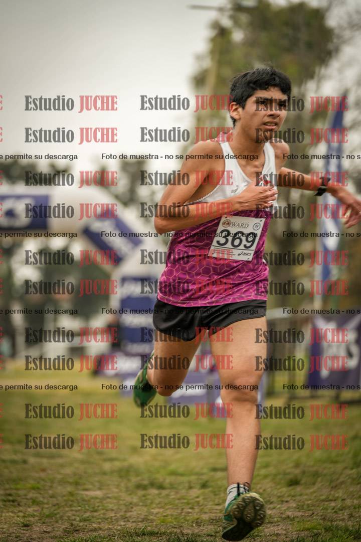 Fotos de la llegada del cross de 6000 m