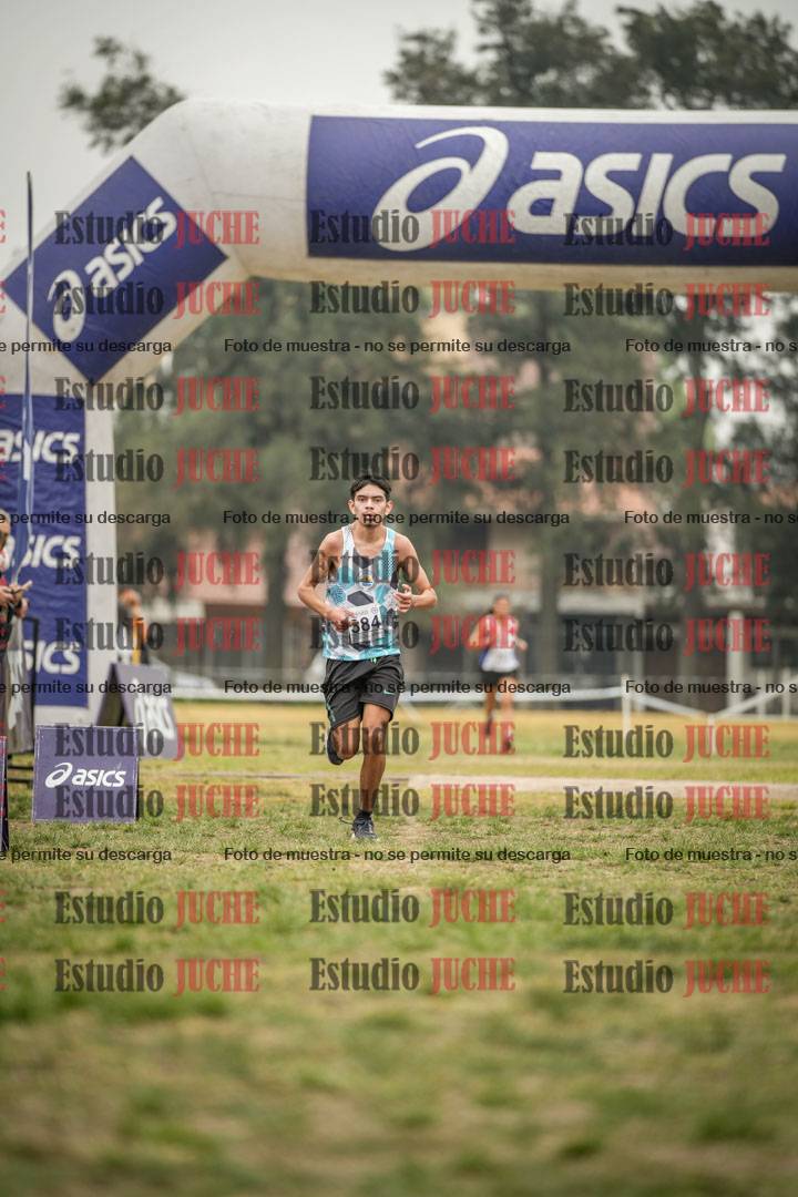 Fotos de la llegada del cross de 6000 m