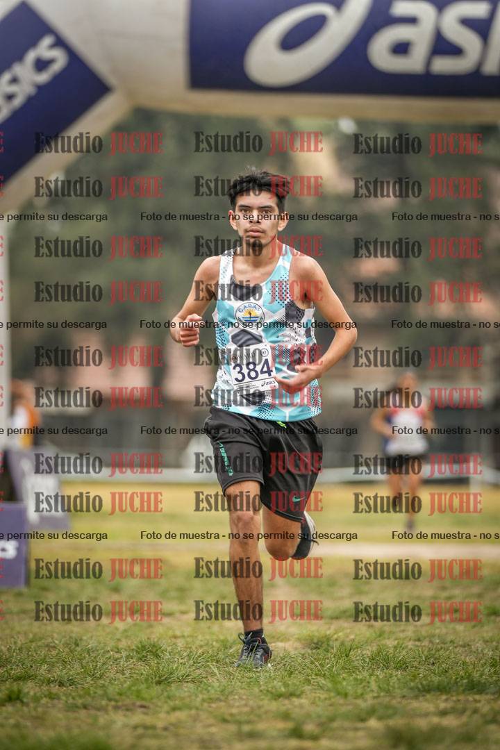 Fotos de la llegada del cross de 6000 m