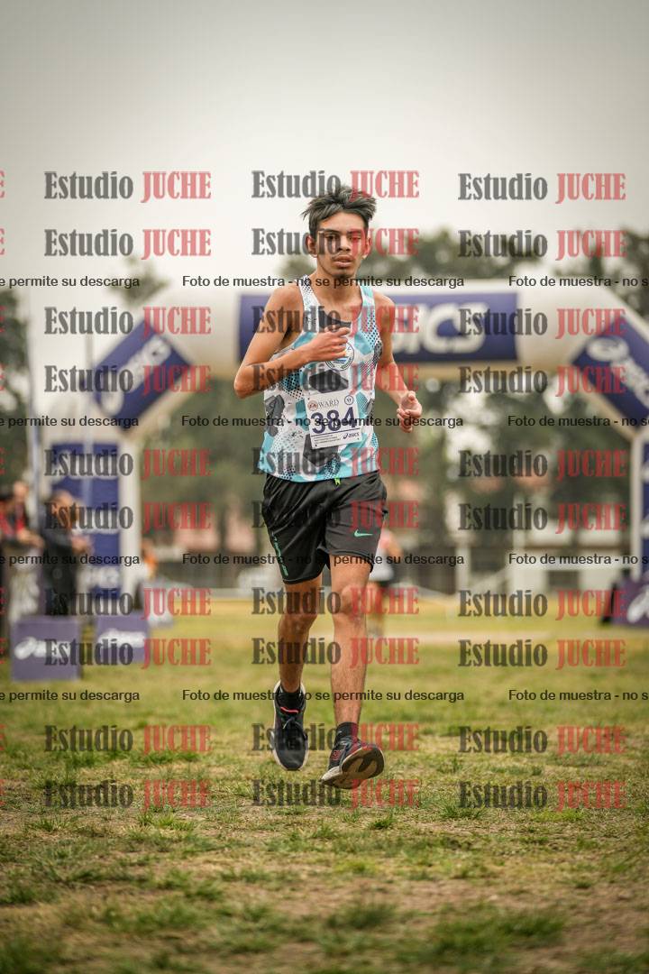 Fotos de la llegada del cross de 6000 m