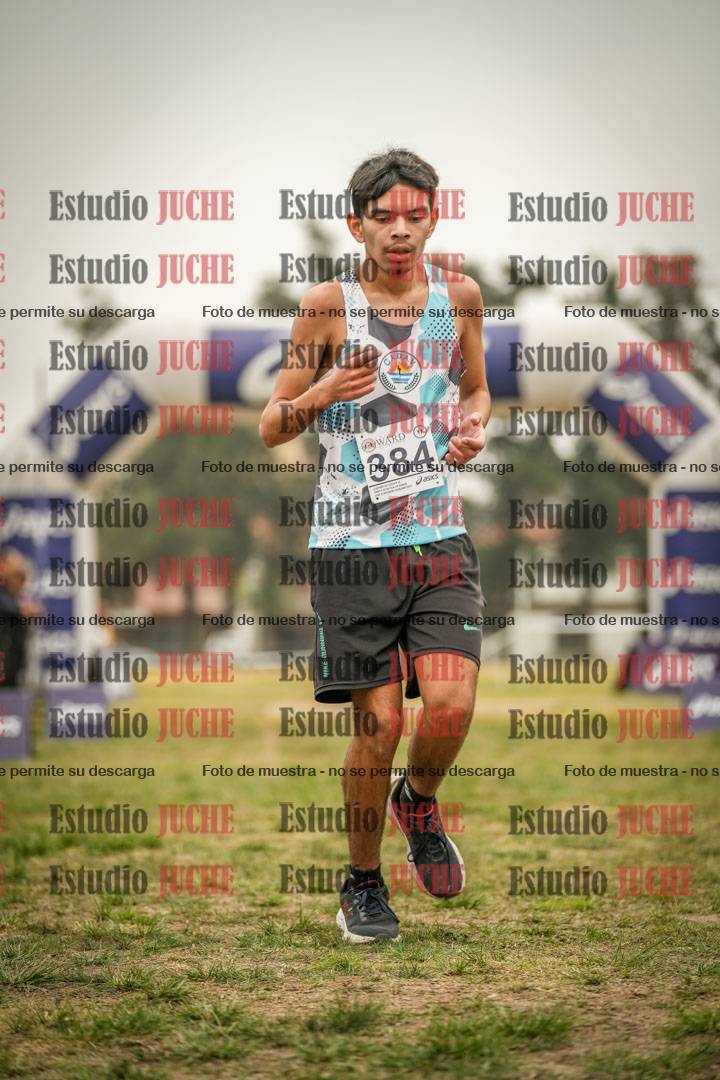 Fotos de la llegada del cross de 6000 m