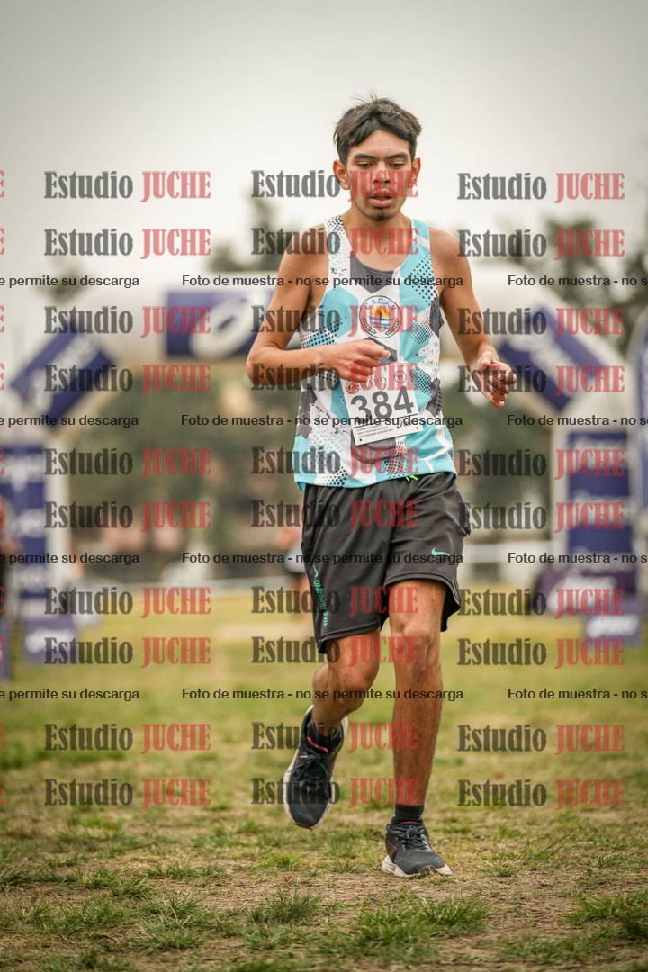 Fotos de la llegada del cross de 6000 m