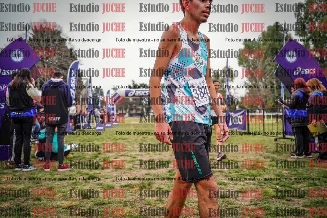 Fotos de la llegada del cross de 6000 m