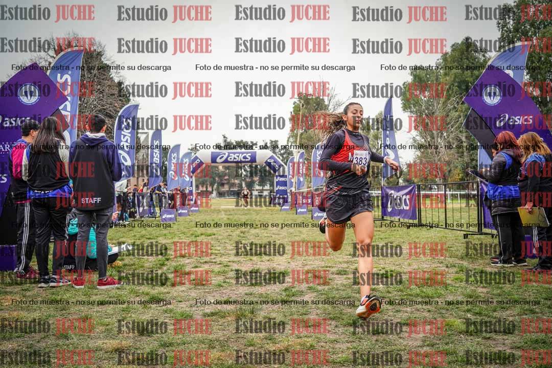 Fotos de la llegada del cross de 6000 m
