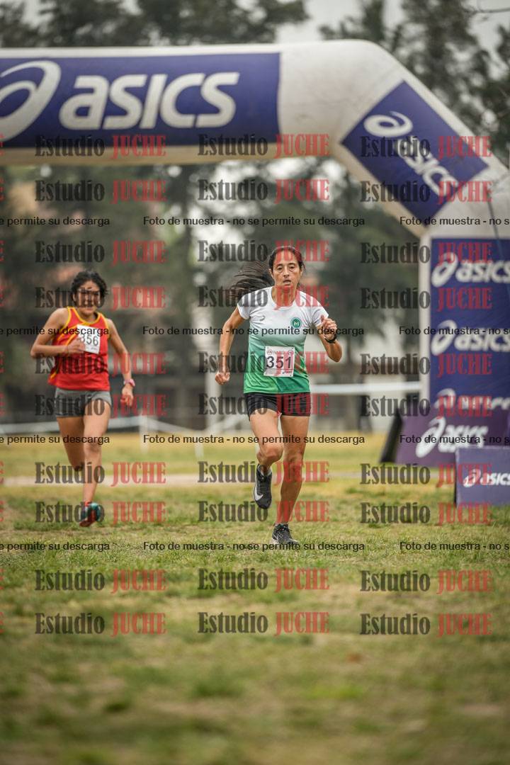 Fotos de la llegada del cross de 6000 m