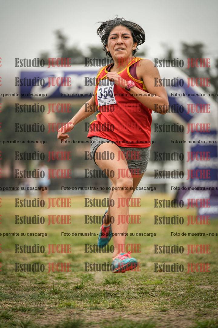 Fotos de la llegada del cross de 6000 m