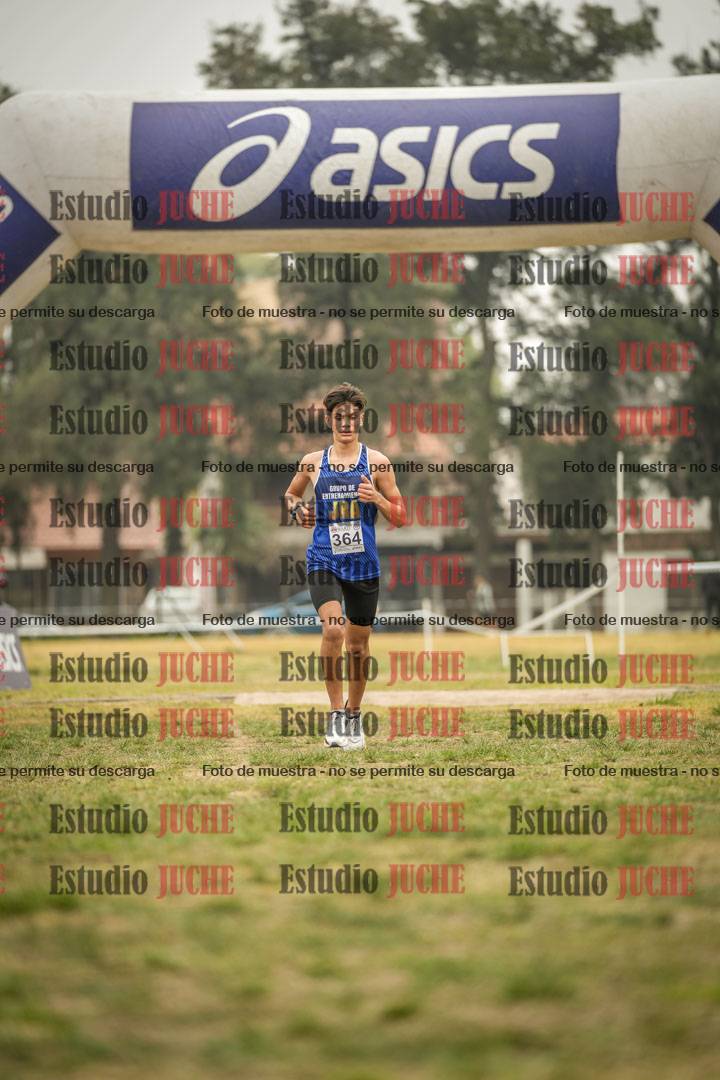 Fotos de la llegada del cross de 6000 m