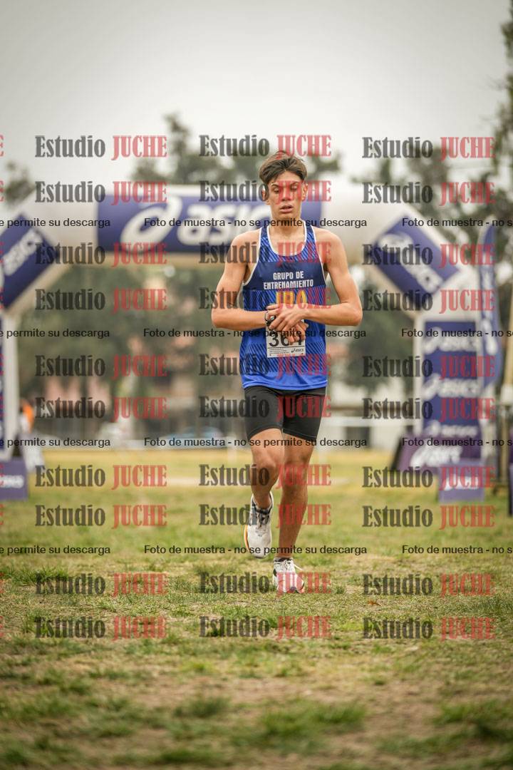Fotos de la llegada del cross de 6000 m