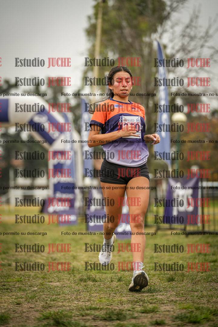Fotos de la llegada del cross de 6000 m