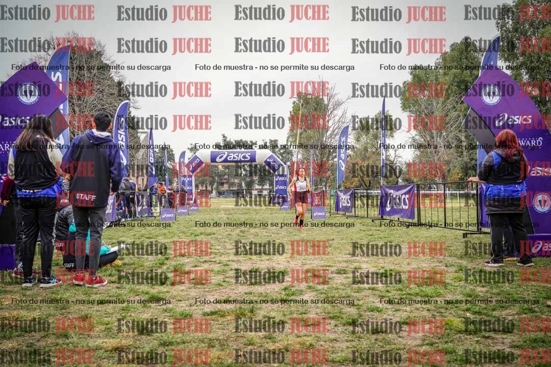 Fotos de la llegada del cross de 6000 m