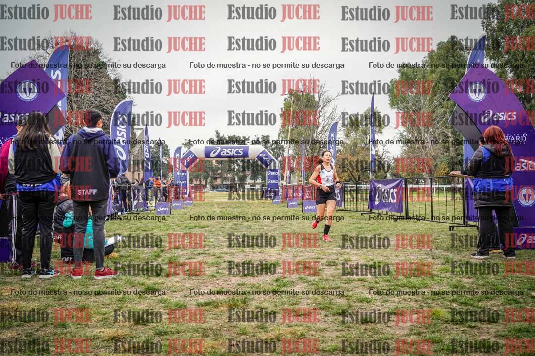 Fotos de la llegada del cross de 6000 m
