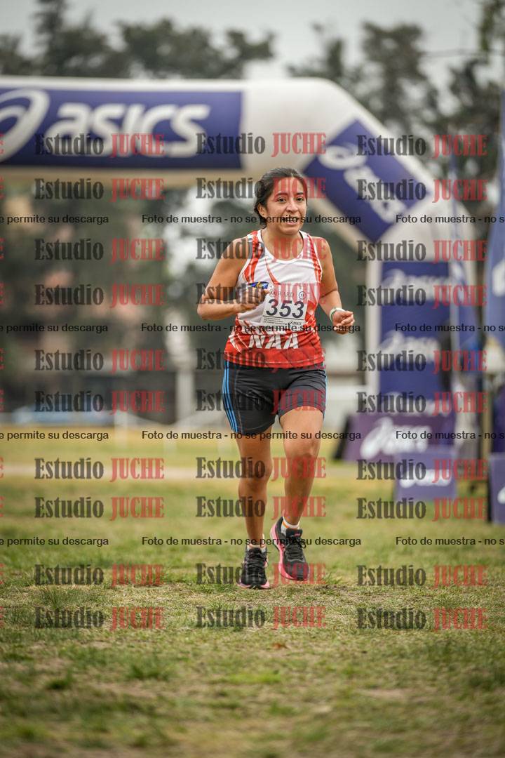Fotos de la llegada del cross de 6000 m