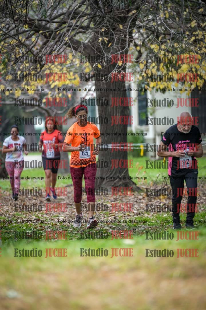 Fotos en el sexto punto del circuito