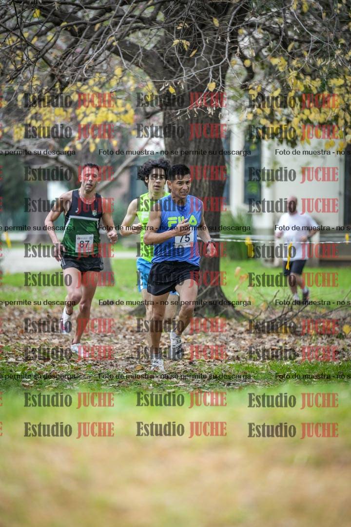 Fotos en el sexto punto del circuito