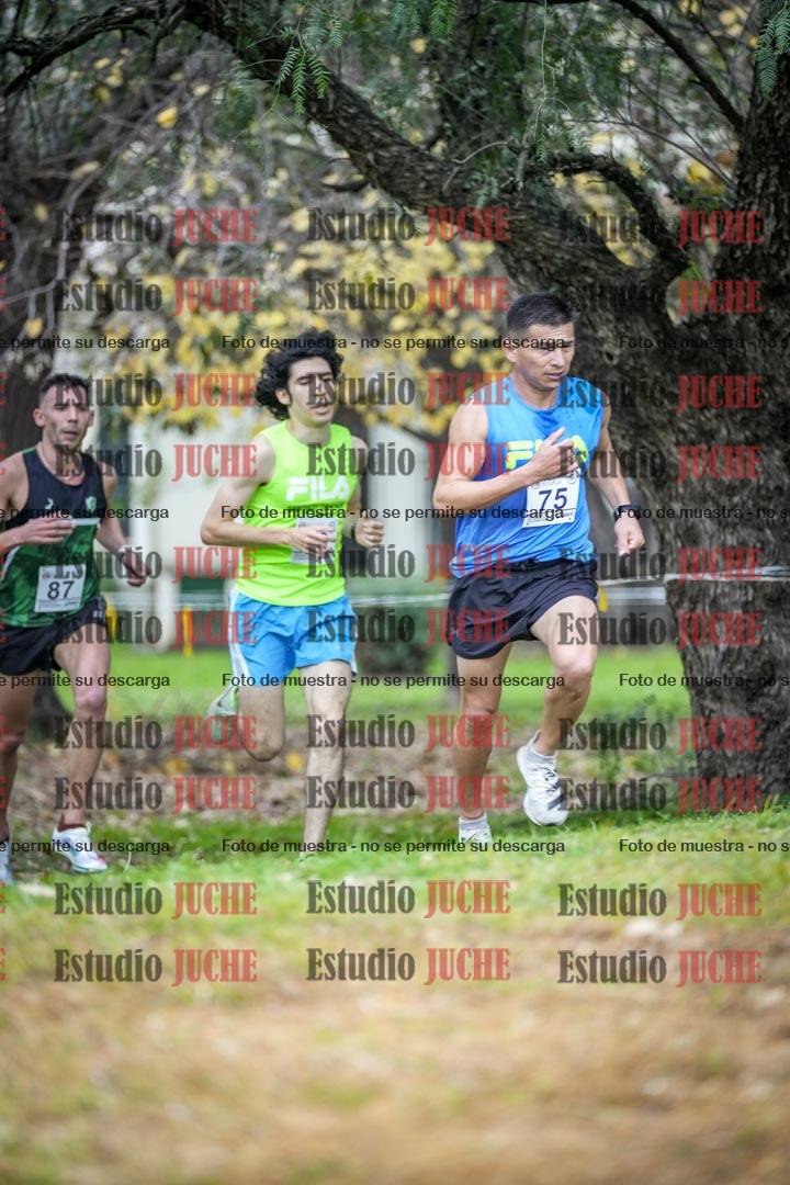 Fotos en el sexto punto del circuito